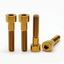4Pcs Titanium Bolt Handlebars Screw for BMW Motorcycle R nineT 16 Pure Racer Urban F700 F800